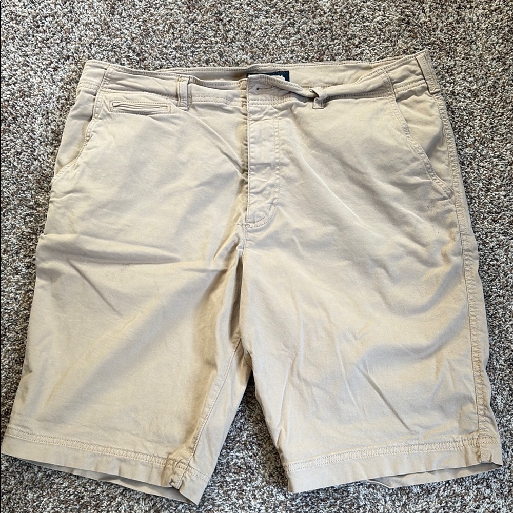 American Eagle Outfitters Tan Flat Front Shorts